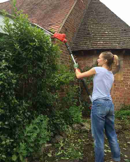 Flymo pole deals hedge trimmer