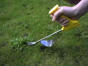 Garden Tools tested and reviewed by Fred In The Shed