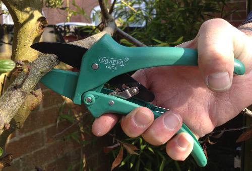 Hand Tools for Arthritis Suffers - Safe Gardening